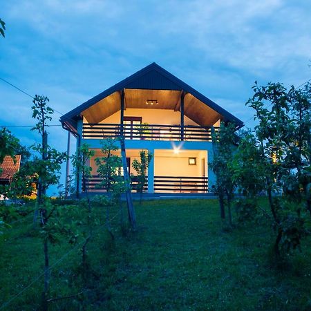 Cetingrad Holiday Home Dandelion With Hot Tub & Sauna מראה חיצוני תמונה